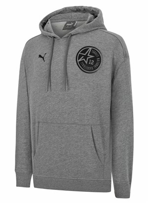 Puma Tbf Fanwear Erkek Sweatshirt 67502803 Gri