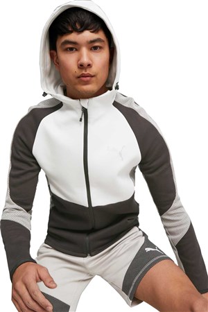 Puma Evostrıpe Full-Zip Erkek Sweatshirt 67593014 Gri