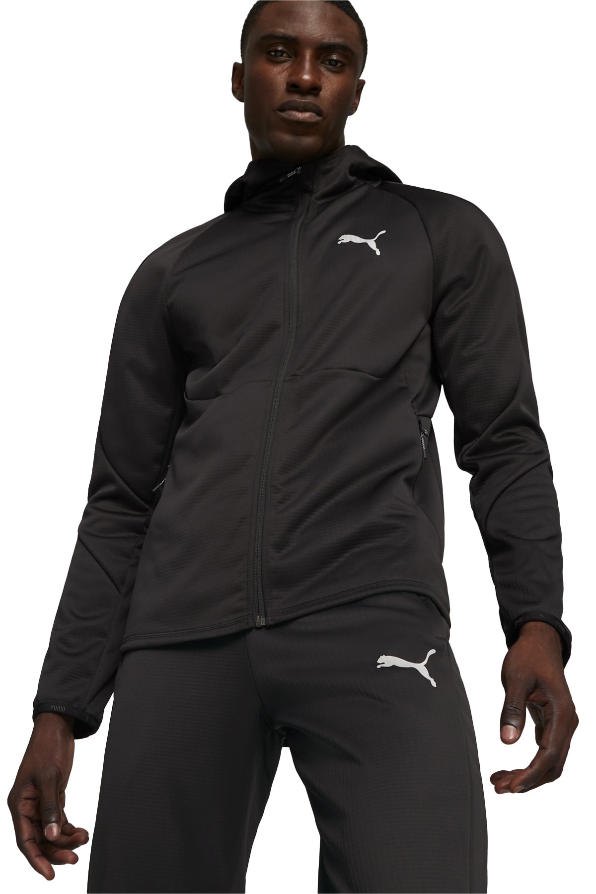 Puma Evostrıpe Warm Full-Zip Erkek Sweatshirt 67593401 Siyah