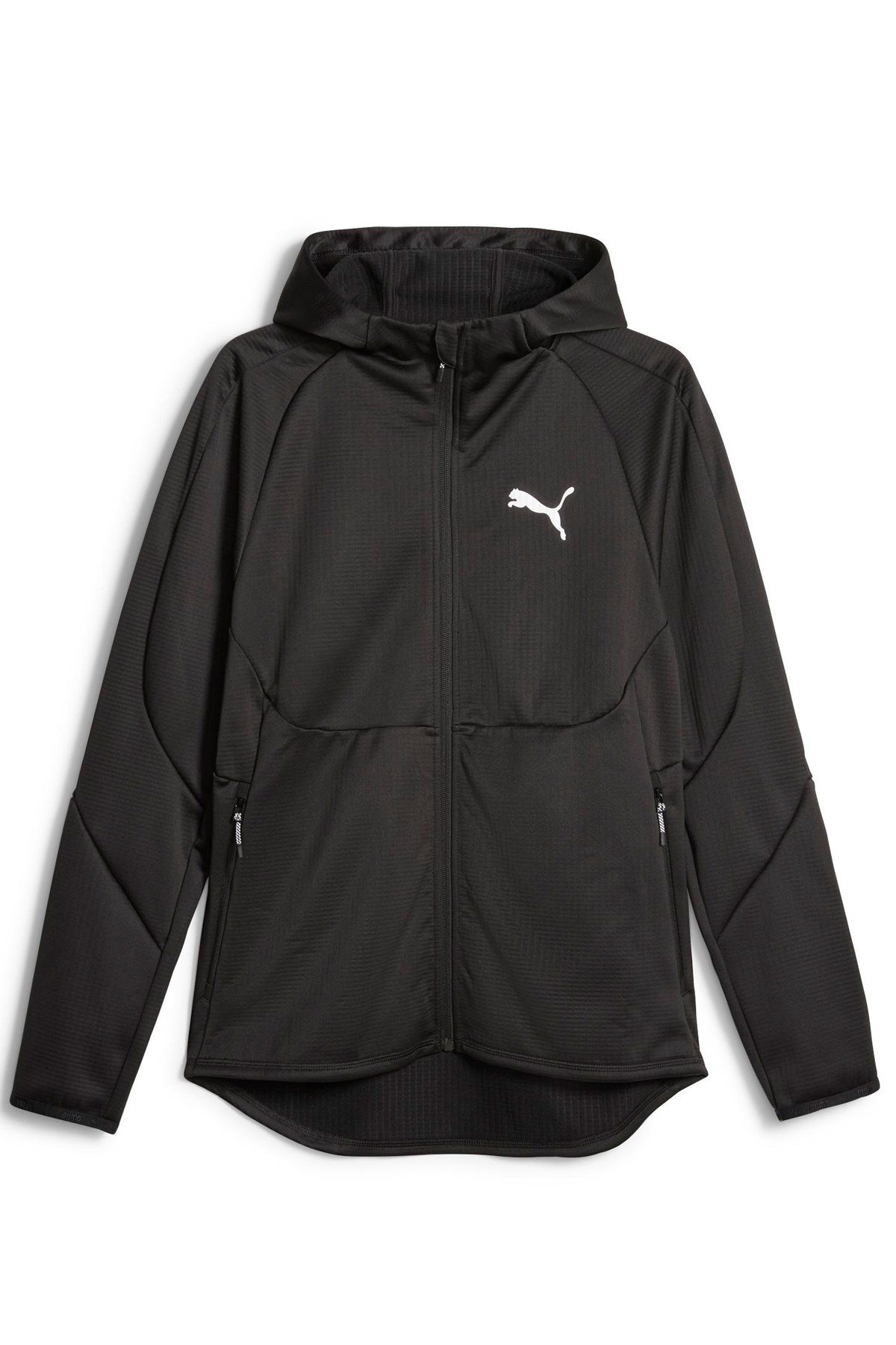 Puma Evostrıpe Warm Full-Zip Erkek Sweatshirt 67593401 Siyah