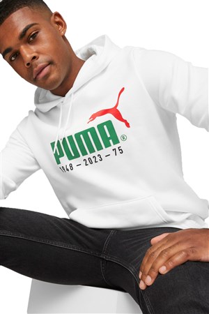 Puma No. 1 Logo Celebration Erkek Sweatshirt 67602102
