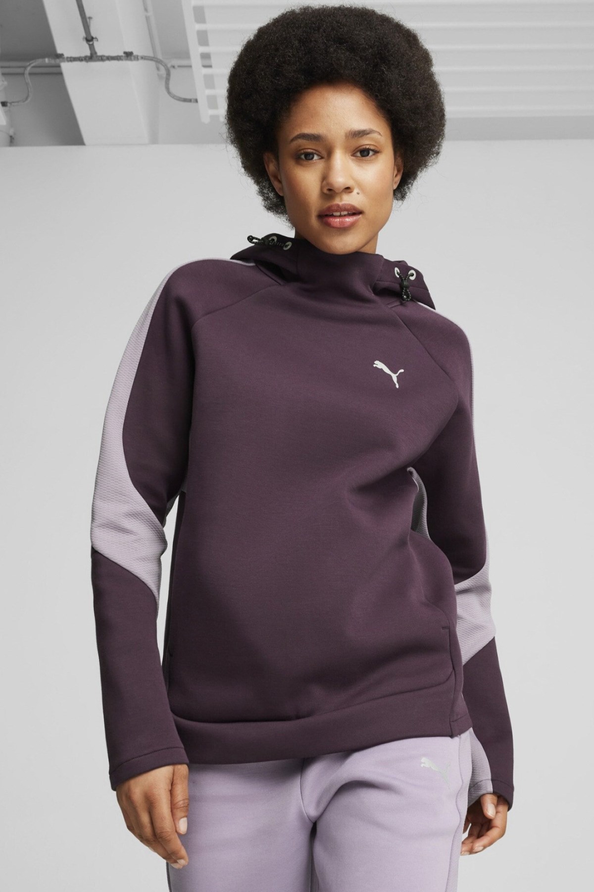 Puma Evostripe Kadın Sweatshirt 68166944 Mor