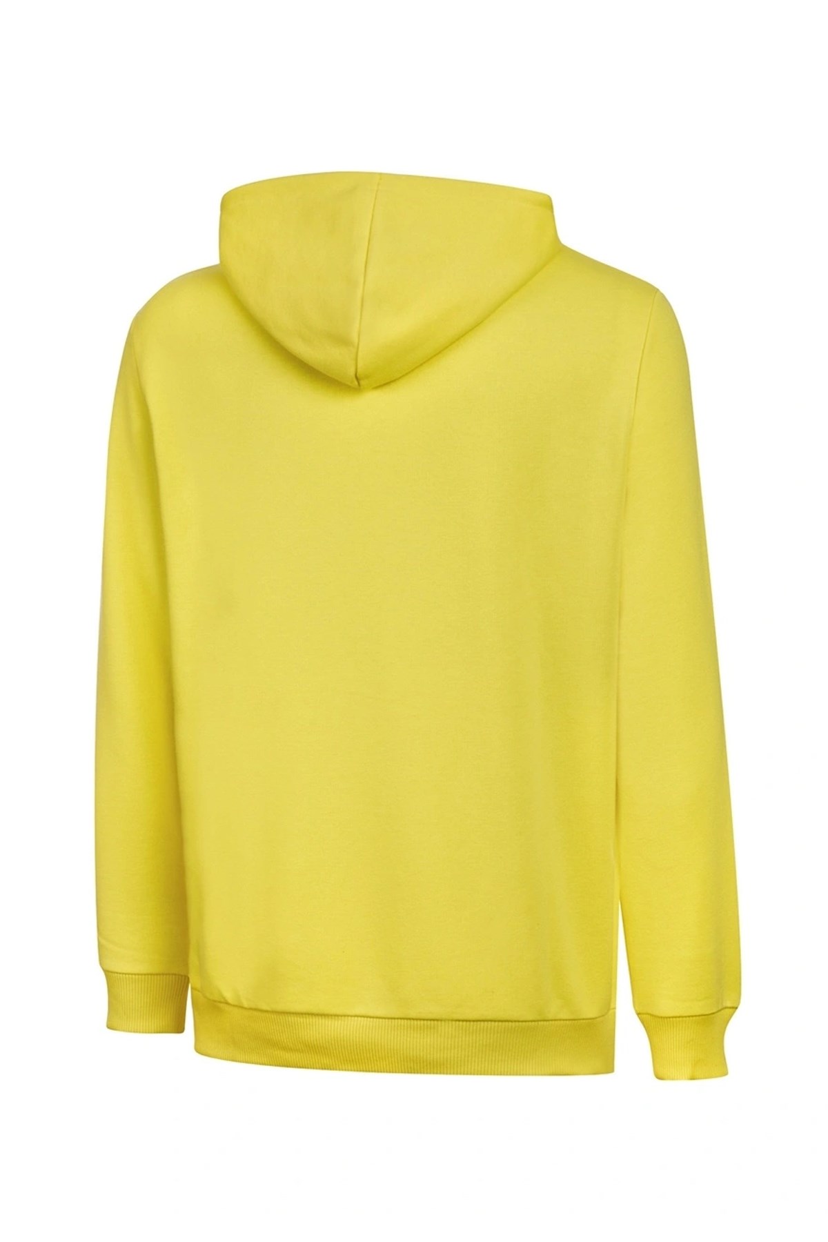 Puma Fenerbahçe SK Unisex Sweatshirt 77313903 Sarı