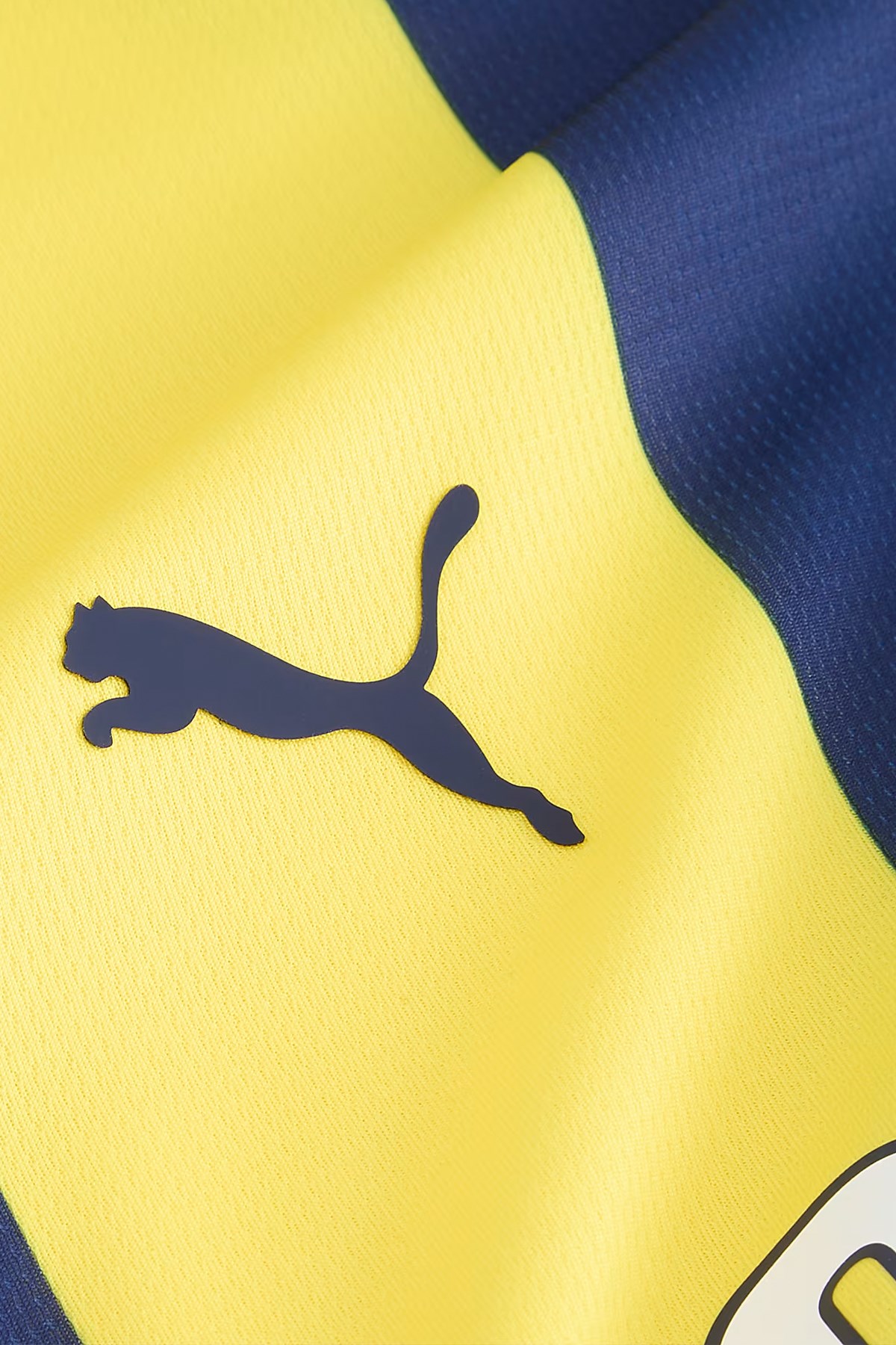 Puma FSK Home Jr Çocuk Forma 77536401 Sarı