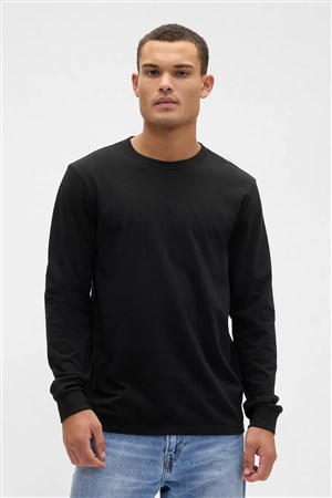 Gap V-Ls Everyday Erkek Tişört 795651002