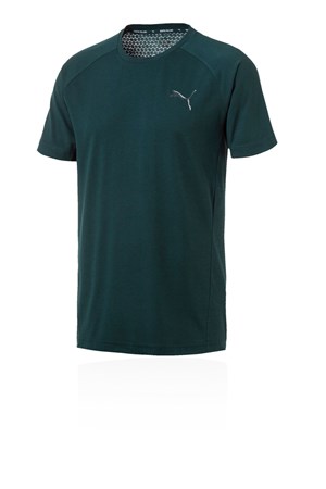 Puma Evostripe Move Tee Erkek T-Shirt 85407130