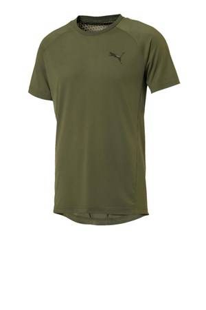 Puma Evostripe Move Tee Erkek T-Shirt 85407131