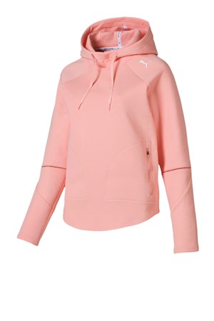 Puma Evostripe Move Kadın Kapüşonlu Sweatshirt 85417919