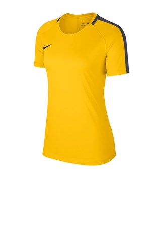 Nike Dry Academy Kadın Tişört 893741-719