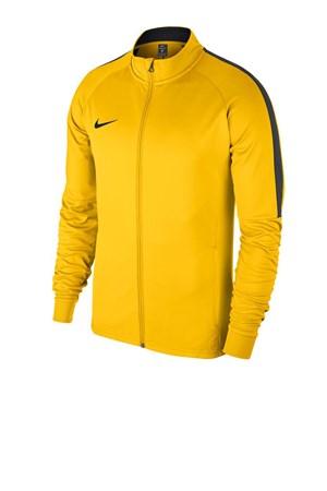 Nike Dry Academy 18 Trk Çocuk Spor Ceket 893751-719