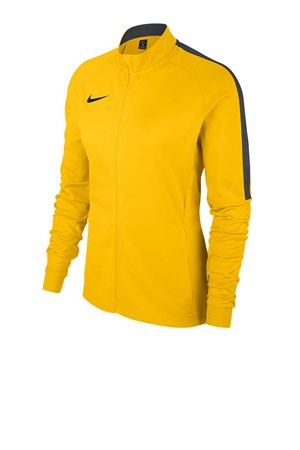 Nike Dry Academy 18 Kadın Spor Ceket 893767-719