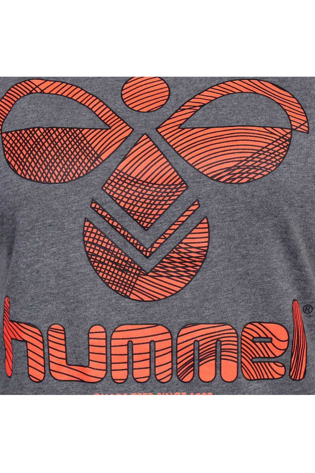 Hummel Alicia Kadın Tişört 910268-2800 Gri