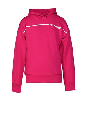 Hummel Damian Hoodie Çocuk Sweatshirt 920915-3288