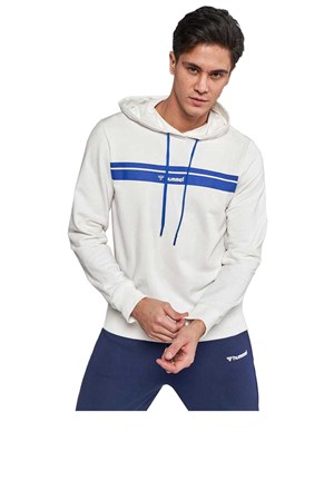 Hummel Leandro Hoodie Erkek Sweatshirt 920920-9973