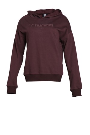Hummel Dami Hoodie Kadın Sweatshirt 920927-1325