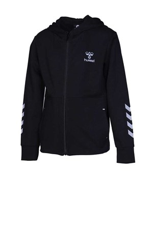 Hummel Demien Zip Hoodie Çocuk Sweatshirt 920987-2001