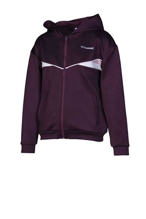 Hummel Casta Zip Hoodie Çocuk Sweatshirt 920992-4079