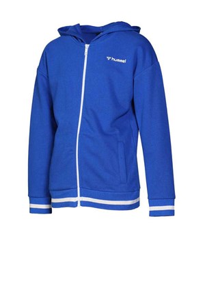 Hummel Ajax Çocuk Sweatshirt 920999-9965