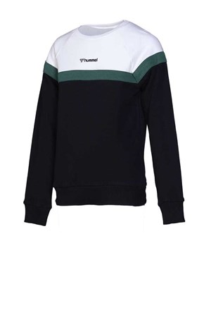 Hummel Colin Çocuk Sweatshirt 921025-2001
