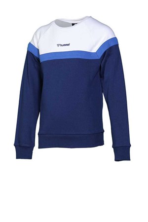 Hummel Colin Çocuk Sweatshirt 921025-9968