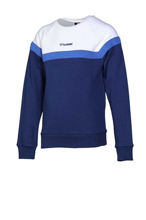 Hummel Colin Çocuk Sweatshirt 921025-9968