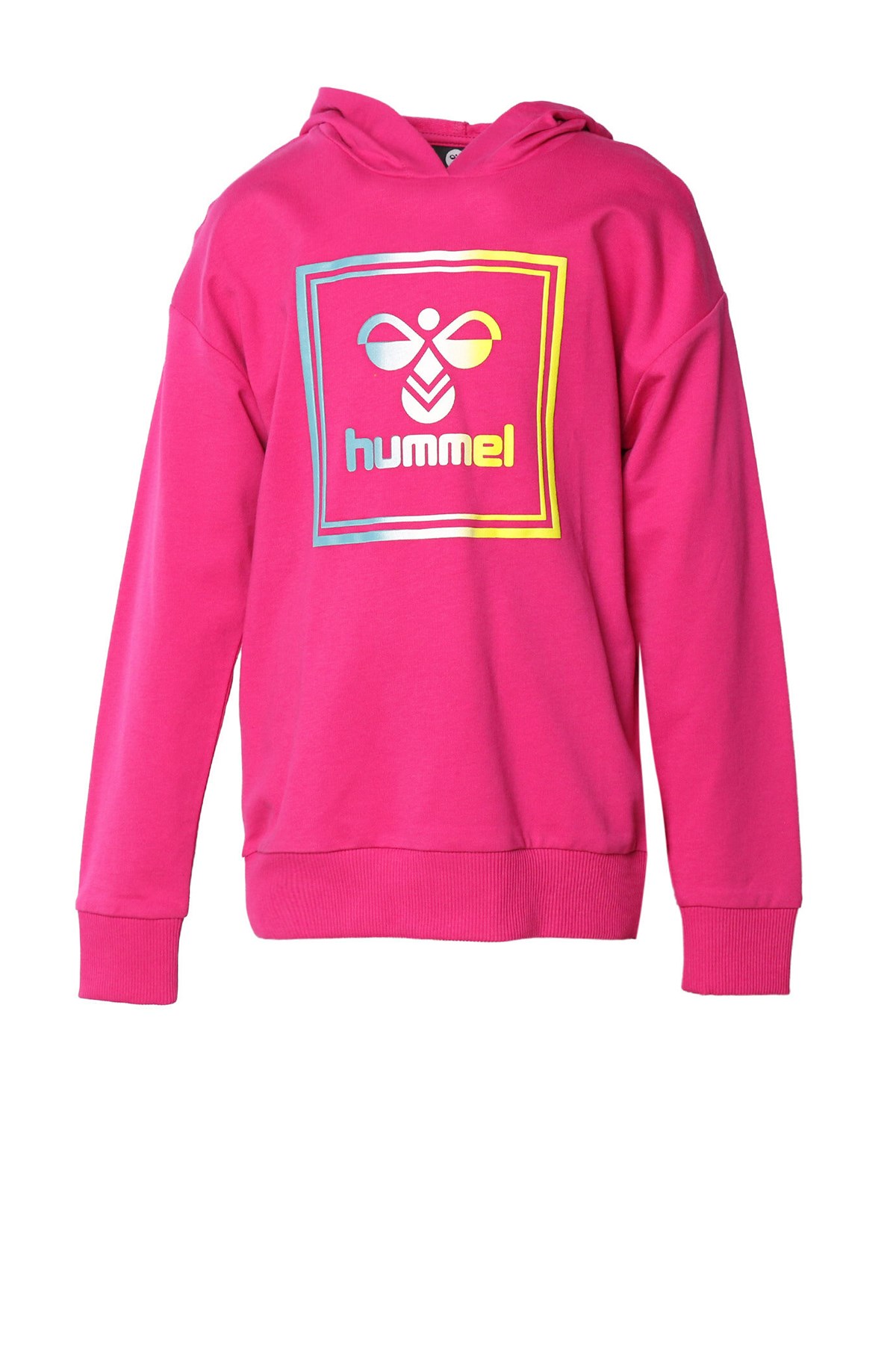 Hummel Leiden Çocuk Sweatshirt 921085-2097 Pembe