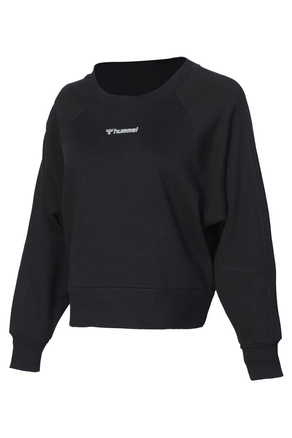 Hummel Clo Kadın Sweatshirt 921592-2001 Siyah
