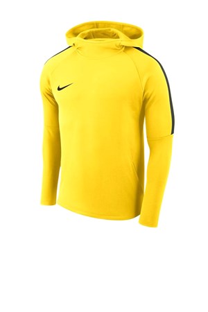 Nike Çocuk Kapüşonlu Sweatshirt AJ0109-719