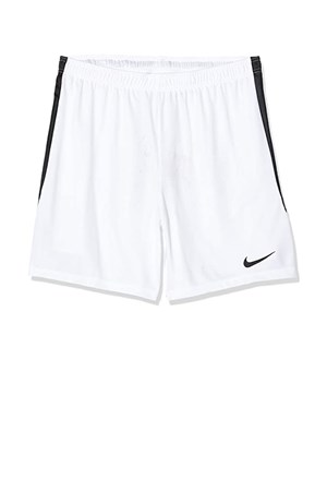 Nike NK Dri-FIT Classic Erkek Şort AJ1235-100