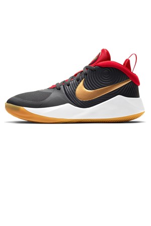 Nike Team Hustle D 9 (Gs) Basketbol Ayakkabı AQ4224-011
