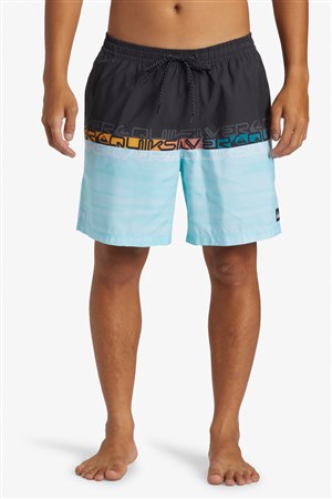 Quiksilver Everyday Erkek Deniz Şortu AQYJV03150-12814 Gri