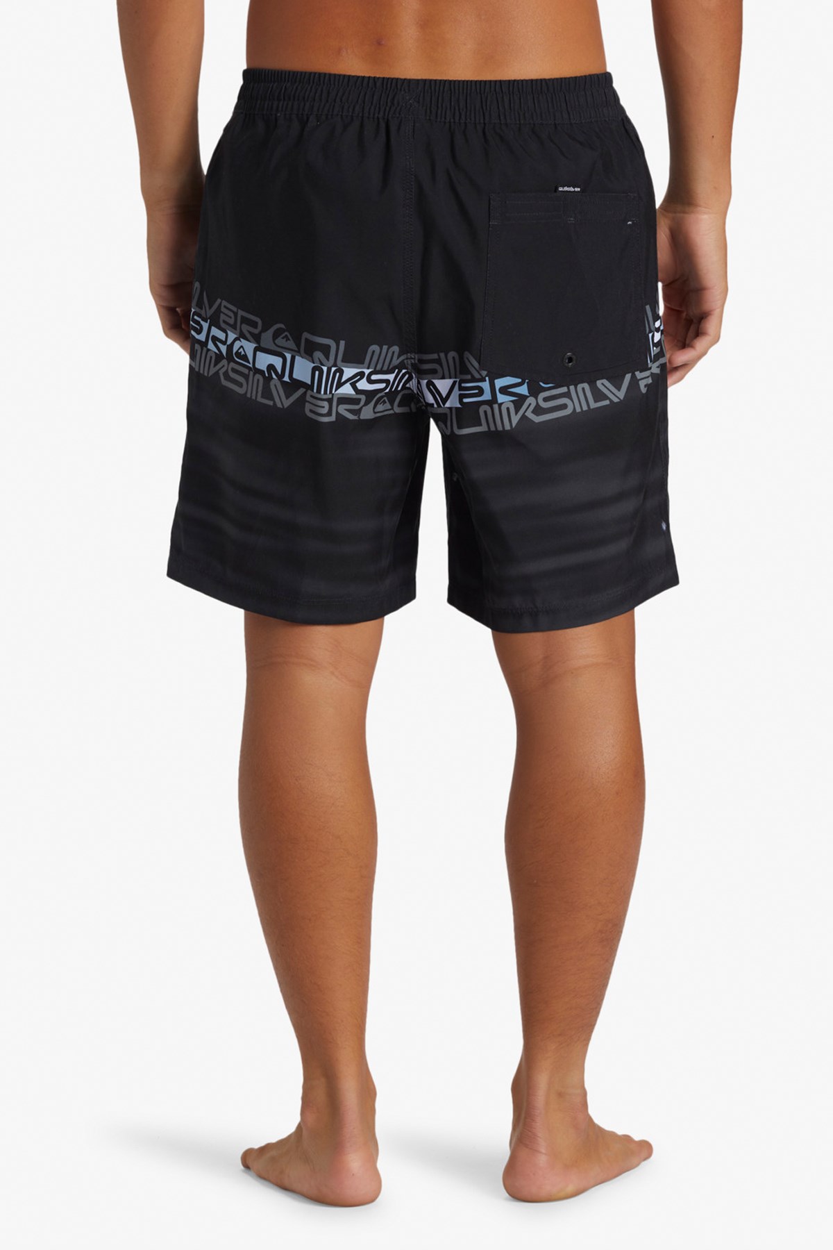 Quiksilver Everyday Erkek Deniz Şortu AQYJV03150-KVJ6 Siyah