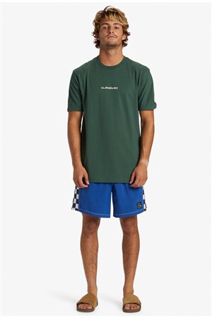 Quiksilver Qs Omni Logo Dna Erkek Tişört AQYZT09601-26111 Yeşil