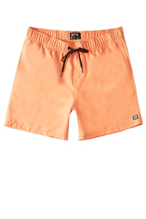 Billabong All Day Lb Volley Erkek Deniz Şort C1LB12