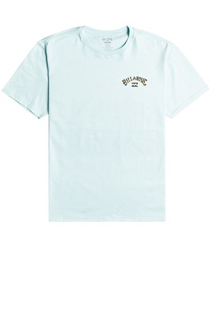 Billabong Arch Fill Ss Erkek Tişört C1SS10