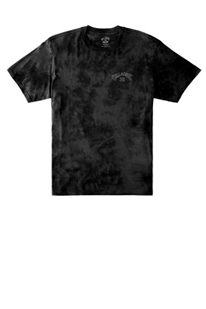 Billabong Arch Tie Ss Erkek Tişört C1SS42
