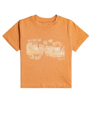 Billabong CaliGreetings Kadın Tişört C3SS37