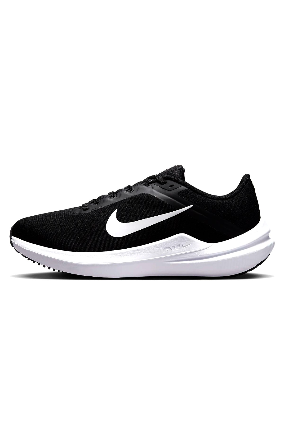 Nike Winflo 10 Kadın Spor Ayakkabı DV4023-003 Siyah