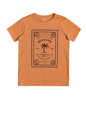 Quiksilver Badliarssyth Çocuk Tişörtü Eqbzt04153-Nlfh
