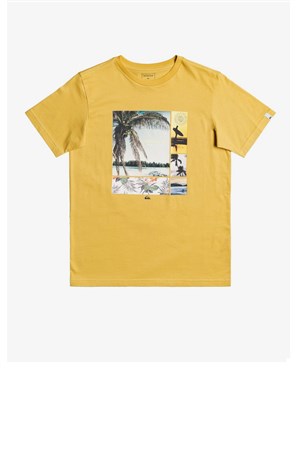 Quiksilver Hidden Cove Yth Çocuk Tişört EQBZT04321-YHP0