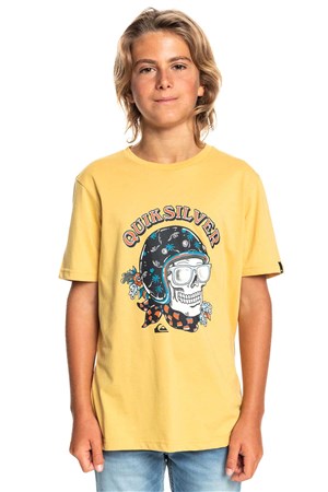 Quiksilver Skull Trooper Çocuk Tişört EQBZT04419 Gri