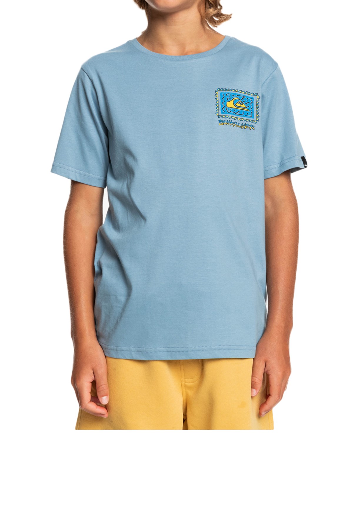 Quiksilver Radical Roots Çocuk Tişört EQBZT04427 Lacivert