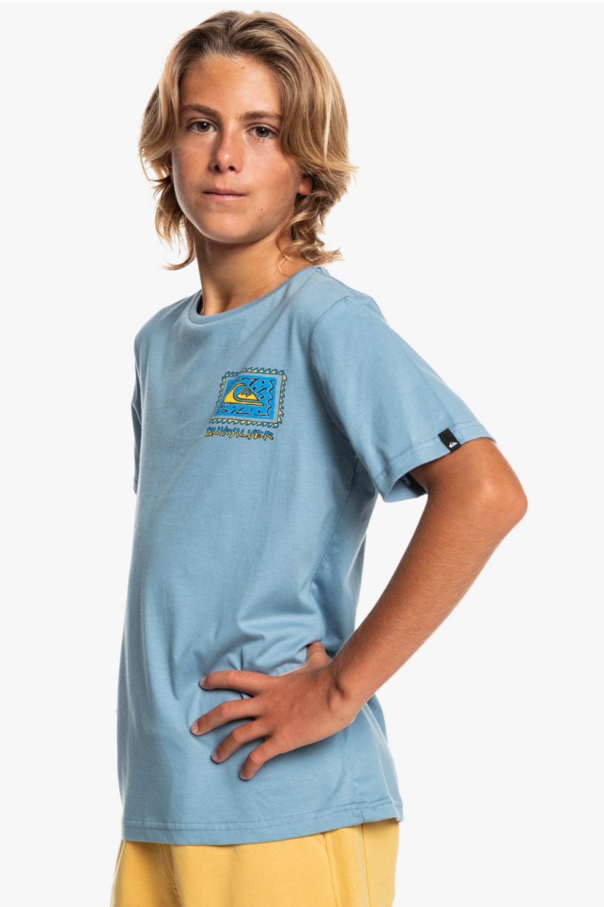 Quiksilver Radical Roots Çocuk Tişört EQBZT04427 Lacivert