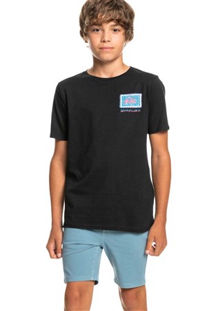 Quiksilver Radical Roots Çocuk Tişört EQBZT04427 Siyah