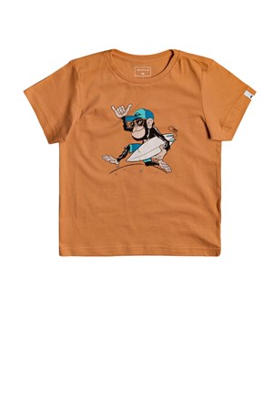 Quiksilver Banalleys Boy Çocuk Tişört EQKZT03372-NLF0