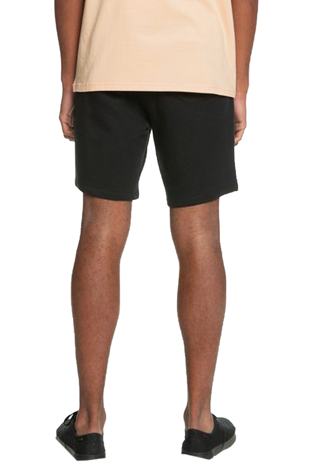 Quiksilver Essential Shitter Erkek Şort EQYFB03206-Kvj0 Siyah