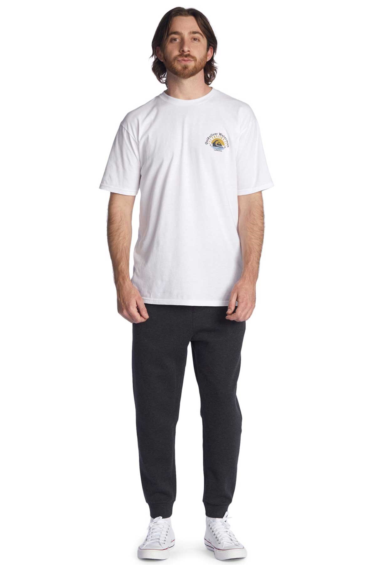 Quiksilver Stepoff Erkek Eşofman Alt EQYFB03270 Gri