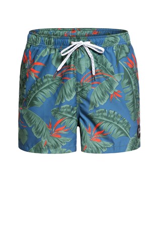 Quiksilver Poolsidvl15 Erkek Deniz Şortu EQYJV03398