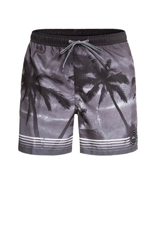 Quiksilver Paradisevl17 Erkek Deniz Şortu EQYJV03399
