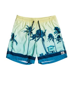 Quiksilver Pardsvly Erkek Deniz Şort Eqyjv03590-Gca6